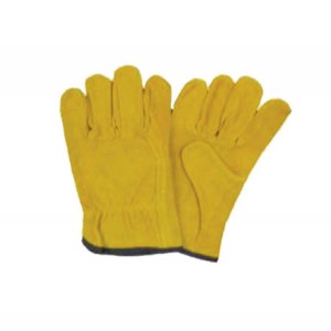 Golden Thermal Hand Gloves